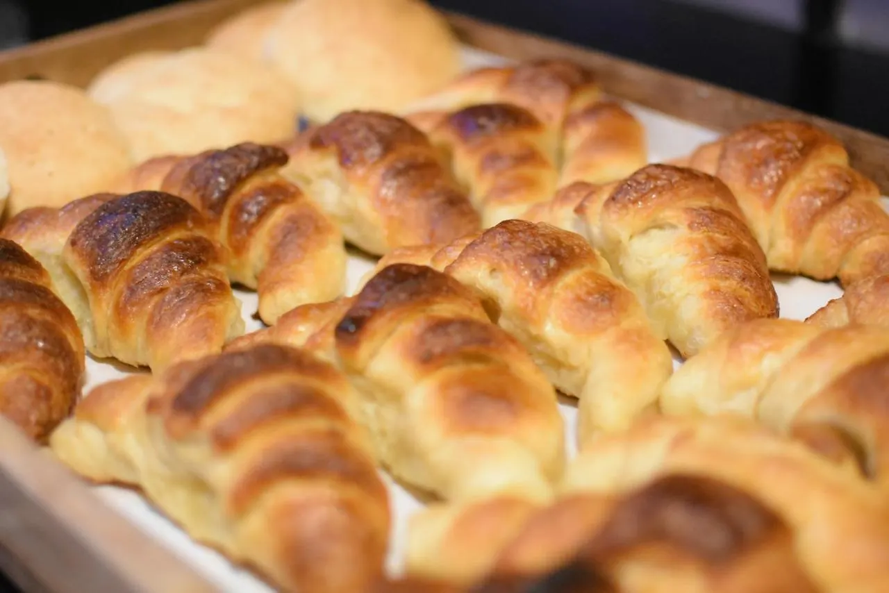 فندق Ritz ميندوزا